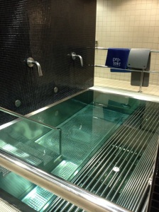 One of the player's 30 degree pools, with a vibrating metal bench for muscle recovery.